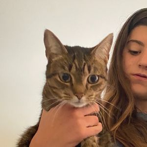 Meet your Posher, Annie